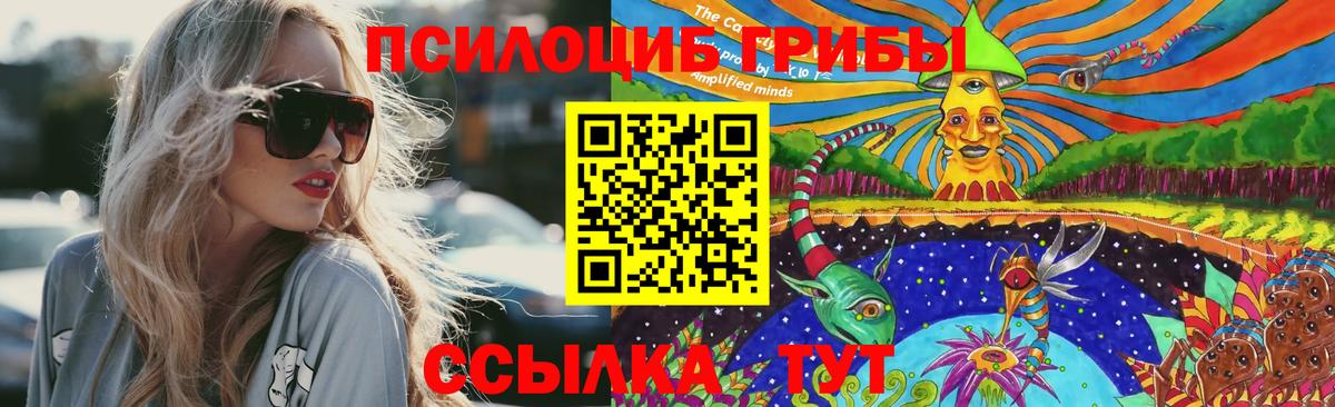 Псилоцибиновые грибы Psilocybe  Вход с VPN  Норильск 