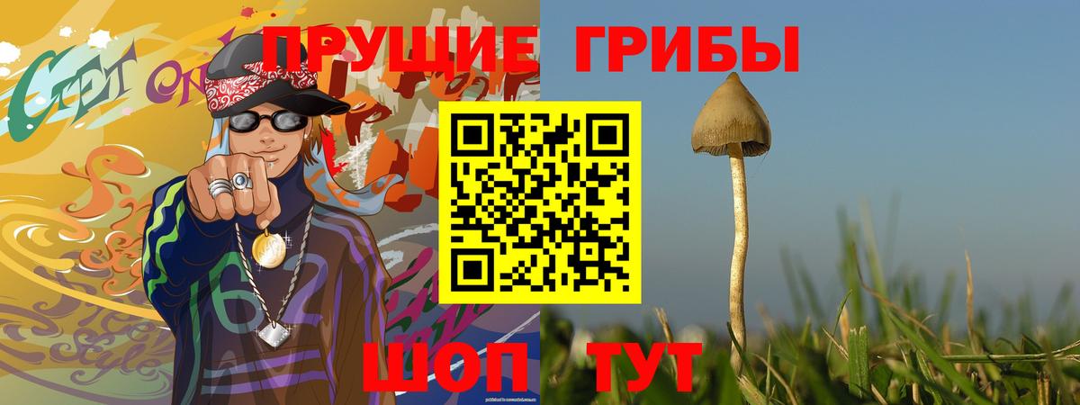 Псилоцибиновые грибы мицелий Норильск